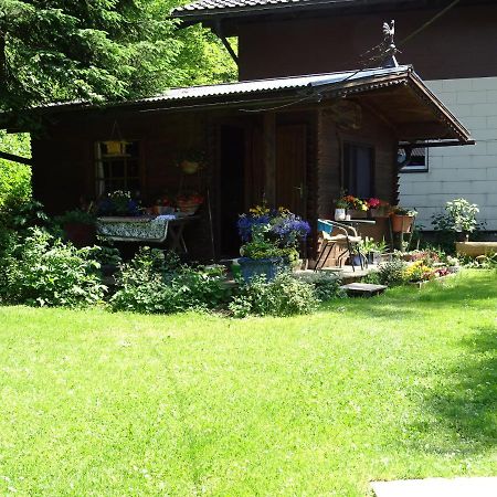 Pension Bayrhammer Faistenau Exterior photo